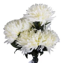 KRIZANTEM CSOKOR 9 AGU FEHER/KREM/MIX 22591W