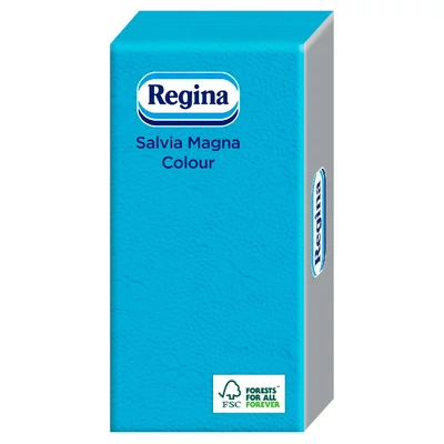 SZALVETA REGINA 38*38.CM 30.DB 1 RETEGU SALVIA MAGNA COLOR MIX